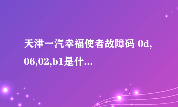 天津一汽幸福使者故障码 0d,06,02,b1是什么意思?