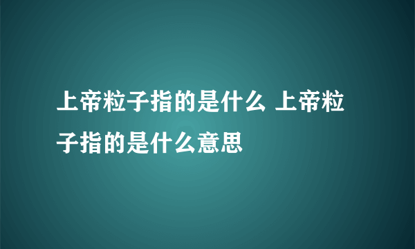 上帝粒子指的是什么 上帝粒子指的是什么意思