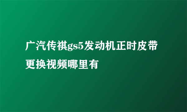 广汽传祺gs5发动机正时皮带更换视频哪里有