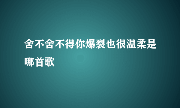 舍不舍不得你爆裂也很温柔是哪首歌