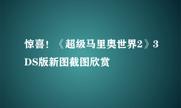 惊喜！《超级马里奥世界2》3DS版新图截图欣赏