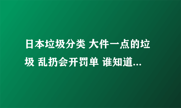 日本垃圾分类 大件一点的垃圾 乱扔会开罚单 谁知道这件垃圾是谁的 开张罚单给谁看