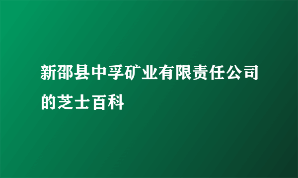 新邵县中孚矿业有限责任公司的芝士百科