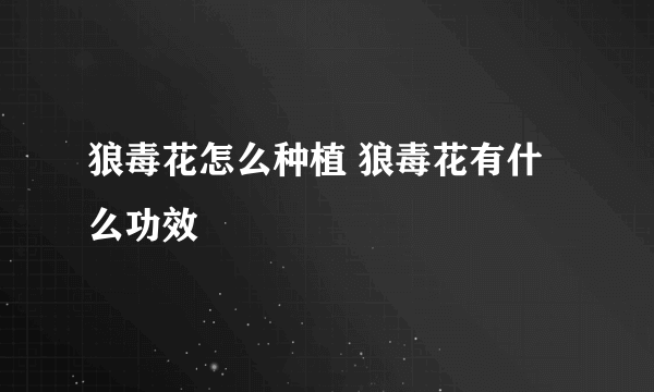 狼毒花怎么种植 狼毒花有什么功效