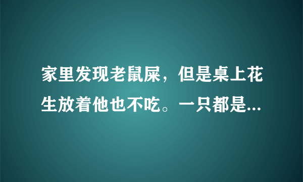 家里发现老鼠屎，但是桌上花生放着他也不吃。一只都是在门后和冰箱下面一个地方徘徊。他是来干嘛的？