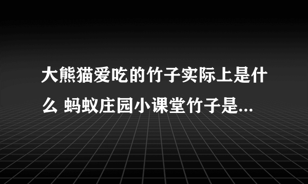 大熊猫爱吃的竹子实际上是什么 蚂蚁庄园小课堂竹子是草还是树