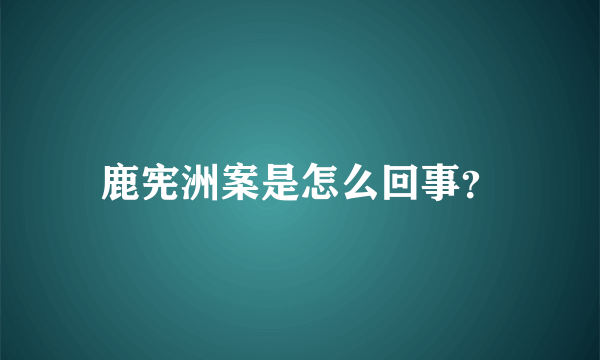 鹿宪洲案是怎么回事？