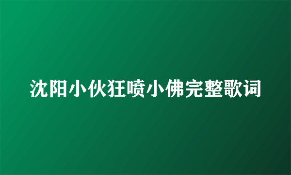 沈阳小伙狂喷小佛完整歌词