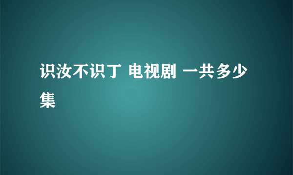 识汝不识丁 电视剧 一共多少集