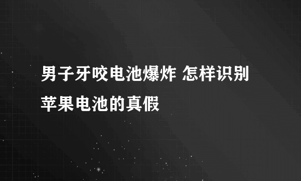 男子牙咬电池爆炸 怎样识别苹果电池的真假