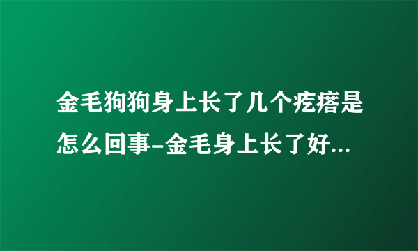 金毛狗狗身上长了几个疙瘩是怎么回事-金毛身上长了好多疙瘩（像脓包）怎么办？