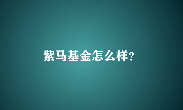 紫马基金怎么样？