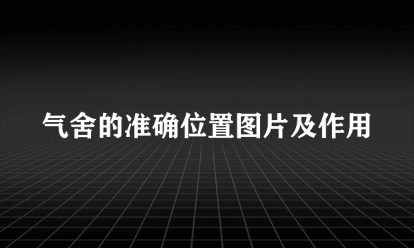 气舍的准确位置图片及作用