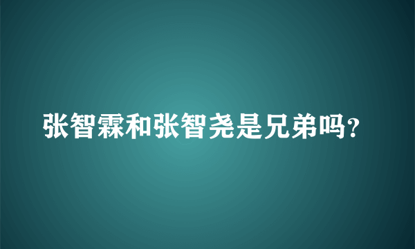 张智霖和张智尧是兄弟吗？