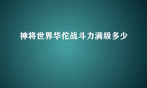 神将世界华佗战斗力满级多少