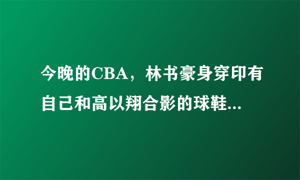 今晚的CBA，林书豪身穿印有自己和高以翔合影的球鞋出战，以此来缅怀好友，你怎么看？