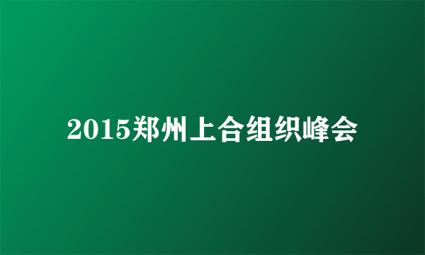 2015郑州上合组织峰会