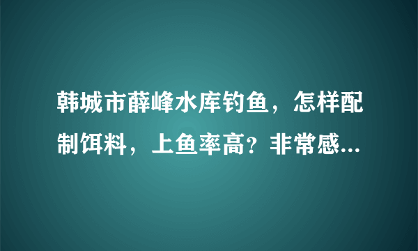 韩城市薛峰水库钓鱼，怎样配制饵料，上鱼率高？非常感谢哪位钓友能帮帮我。