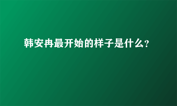 韩安冉最开始的样子是什么？