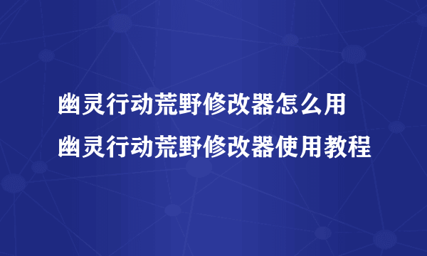 幽灵行动荒野修改器怎么用 幽灵行动荒野修改器使用教程