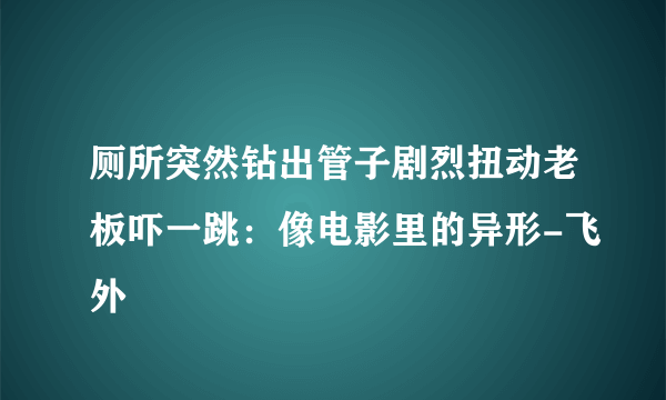 厕所突然钻出管子剧烈扭动老板吓一跳：像电影里的异形-飞外