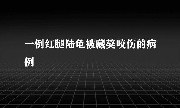 一例红腿陆龟被藏獒咬伤的病例