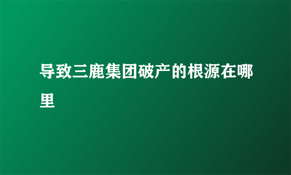 导致三鹿集团破产的根源在哪里