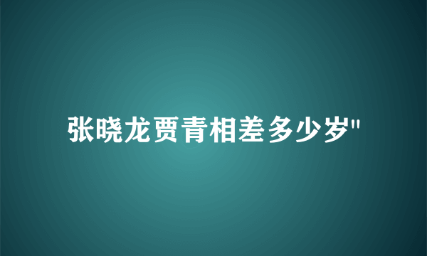 张晓龙贾青相差多少岁