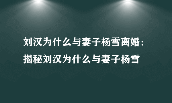 刘汉为什么与妻子杨雪离婚：揭秘刘汉为什么与妻子杨雪