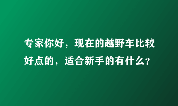 专家你好，现在的越野车比较好点的，适合新手的有什么？