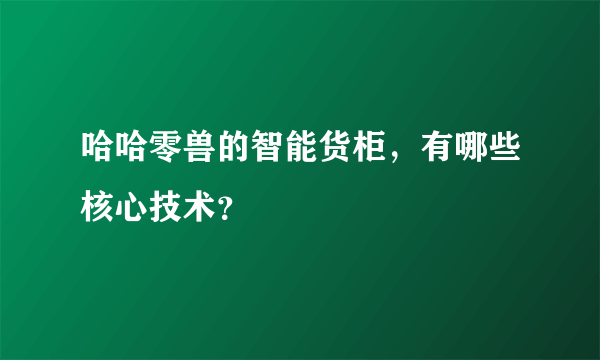 哈哈零兽的智能货柜，有哪些核心技术？