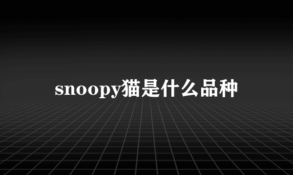 snoopy猫是什么品种