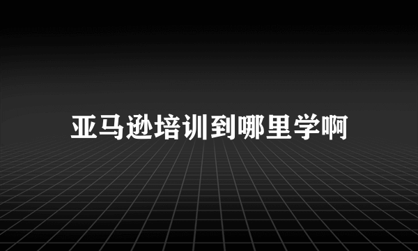 亚马逊培训到哪里学啊