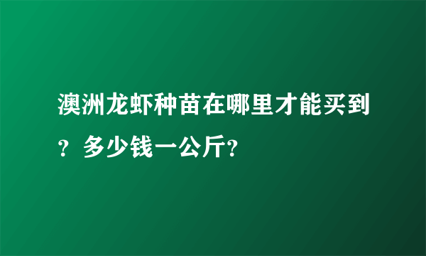 澳洲龙虾种苗在哪里才能买到？多少钱一公斤？