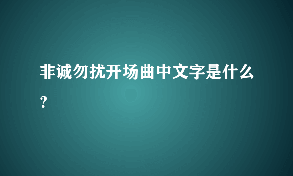 非诚勿扰开场曲中文字是什么？