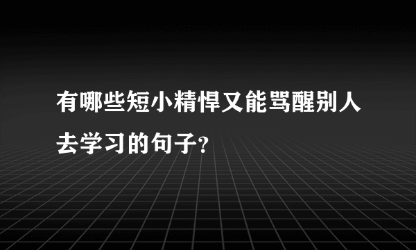 有哪些短小精悍又能骂醒别人去学习的句子？