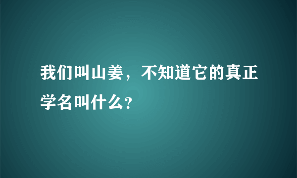 我们叫山姜，不知道它的真正学名叫什么？