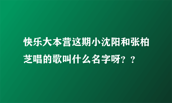 快乐大本营这期小沈阳和张柏芝唱的歌叫什么名字呀？？