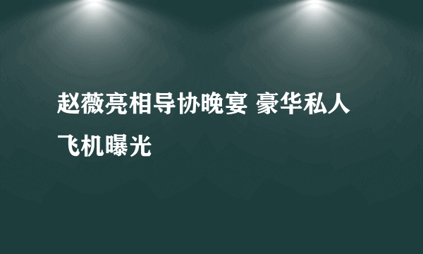 赵薇亮相导协晚宴 豪华私人飞机曝光