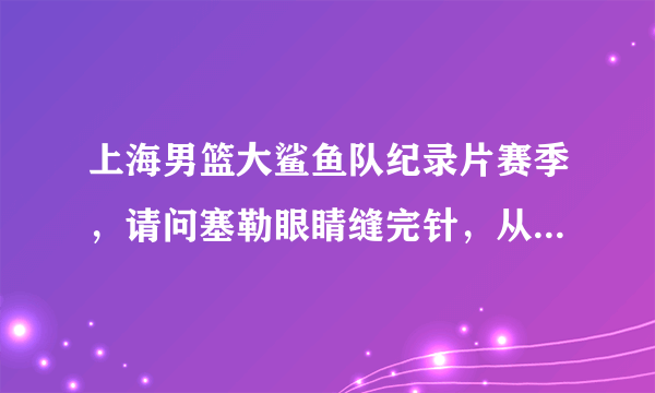 上海男篮大鲨鱼队纪录片赛季，请问塞勒眼睛缝完针，从后台奔跑着然后上场的这段背景乐叫什么名字？