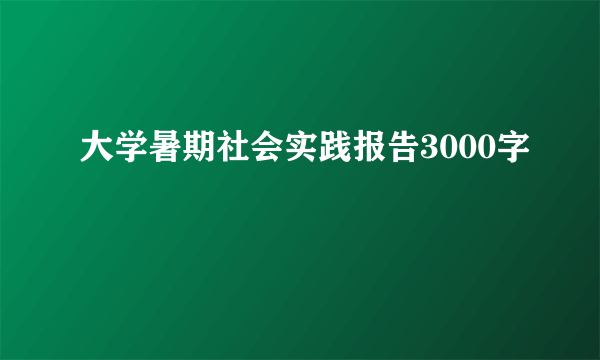 大学暑期社会实践报告3000字