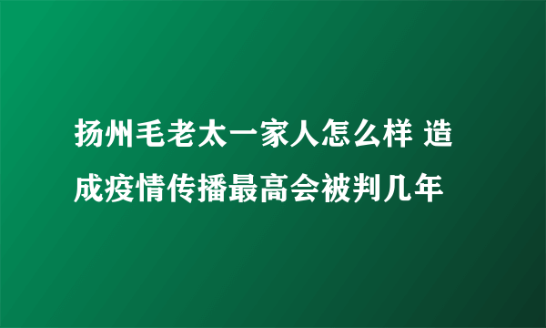 扬州毛老太一家人怎么样 造成疫情传播最高会被判几年