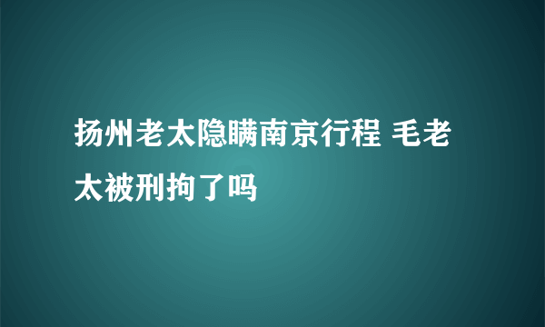 扬州老太隐瞒南京行程 毛老太被刑拘了吗