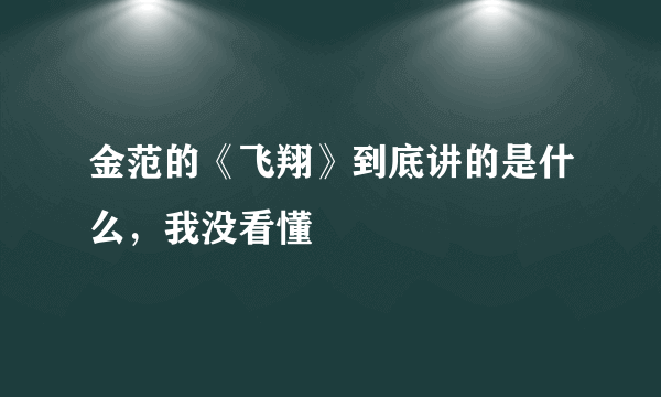 金范的《飞翔》到底讲的是什么，我没看懂