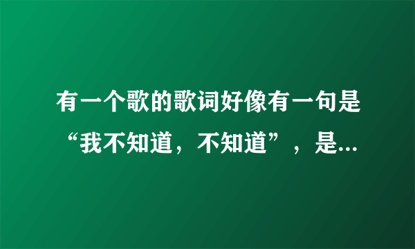 有一个歌的歌词好像有一句是“我不知道，不知道”，是什么歌？