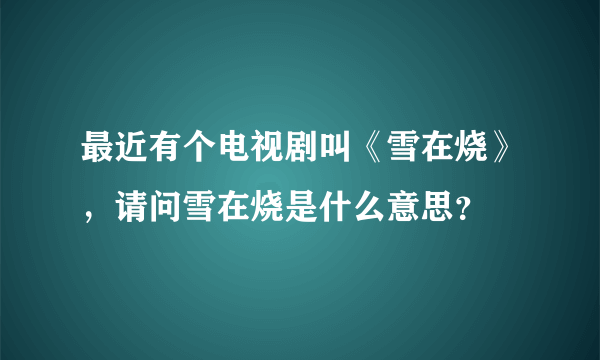 最近有个电视剧叫《雪在烧》，请问雪在烧是什么意思？