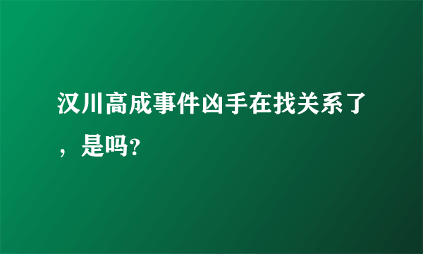 汉川高成事件凶手在找关系了，是吗？