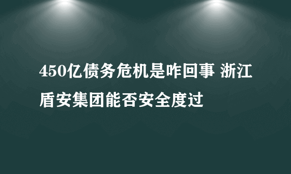 450亿债务危机是咋回事 浙江盾安集团能否安全度过