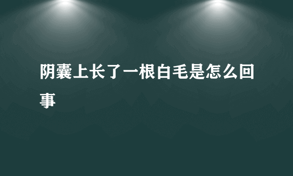 阴囊上长了一根白毛是怎么回事