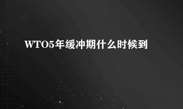 WTO5年缓冲期什么时候到